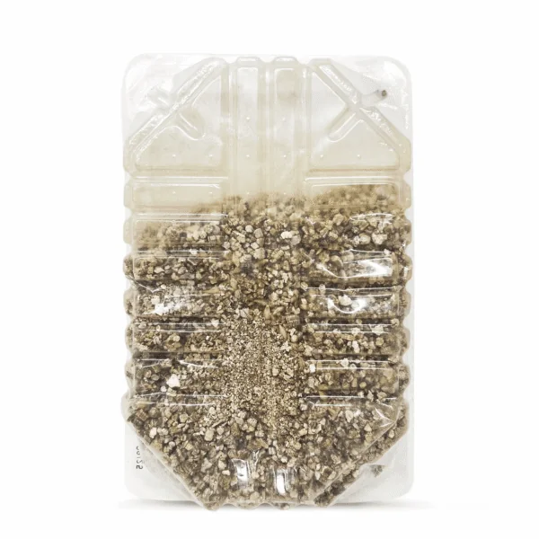 Hierba para gatos Biozoo 100 g