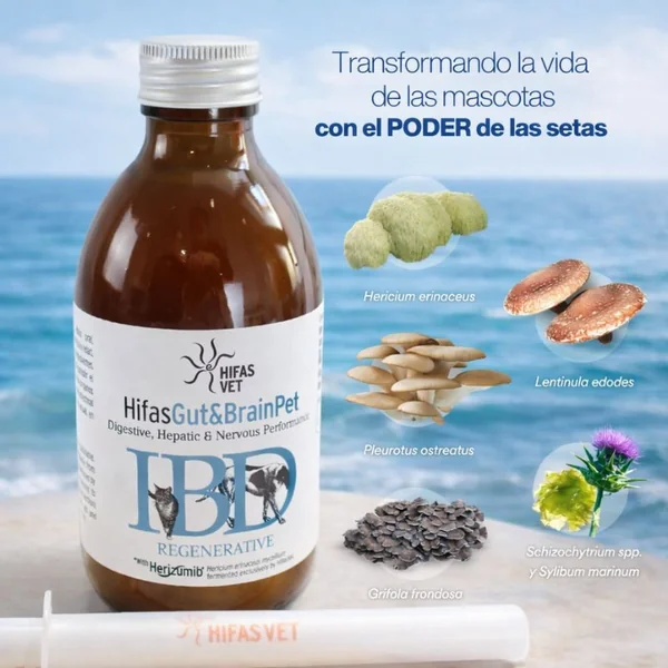 Hifas Gut & Brain Pet 250 ml– Suplemento Digestivo, Hepático y del Sistema Nervioso para Perros y Gatos