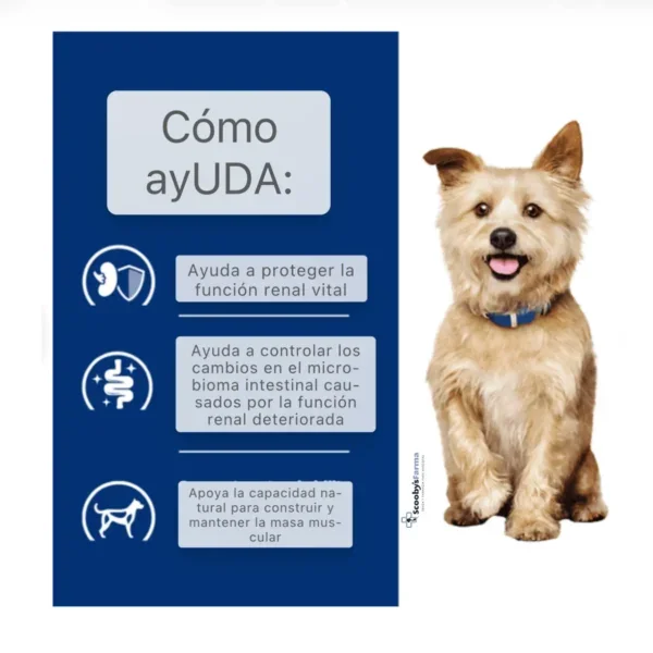 Hill´s Kidney Care k/d pienso renal para perros