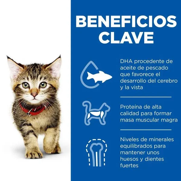 Hill's Science Plan Kitten Pollo 1.5 kg Pienso para Gatos