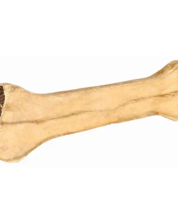 Hueso relleno de tripa