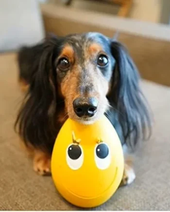 Huevos Lanco Smiley Eggs XXL Extra Big