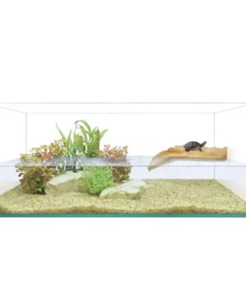 Ica Kit Tortuguera Isla 60 para Tortugas — Acuaterrario Completo