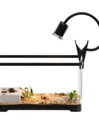 ICA Kit Tortuguera Visión 360 para Tortugas Acuáticas