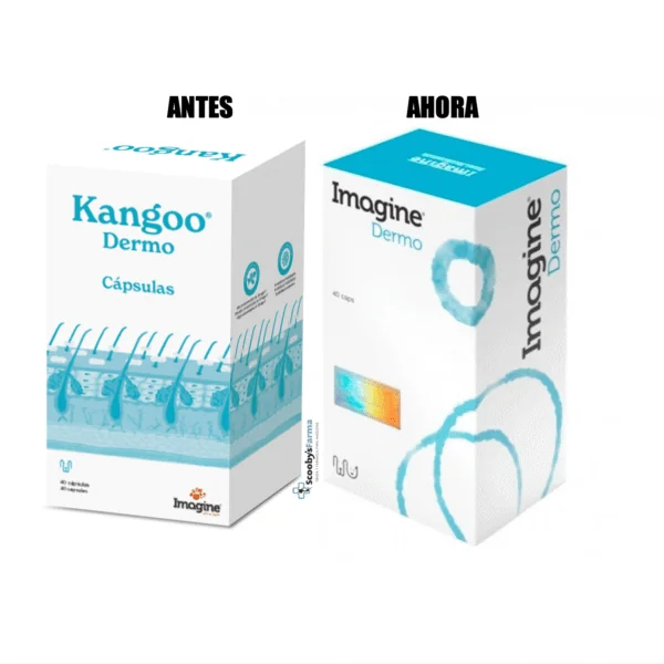 Imagine Kangoo DERMO ácidos grasos y probióticos perros 40 cápsulas
