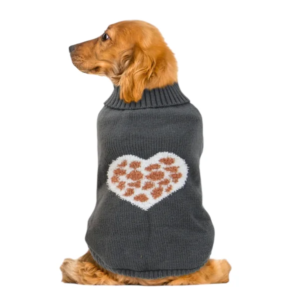Jersey Heart para Perros — Ropa de Abrigo con Corazones