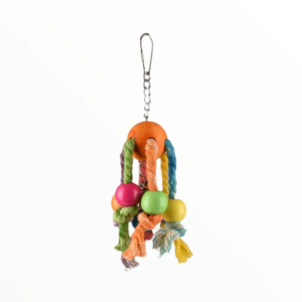 Juguete Arcoíris Multicolor para Pájaros — Ejercicio Físico 19cm ICA