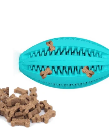 JUGUETE DENTAL FUN PELOTA RUGBY