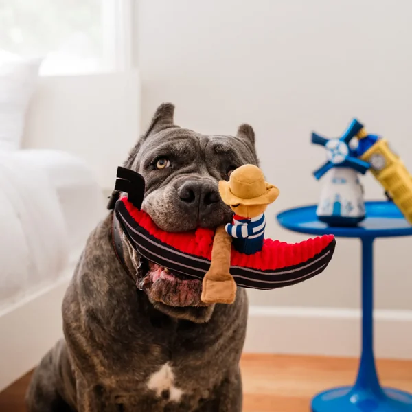 Juguete Góndola Venecia PET PLAY