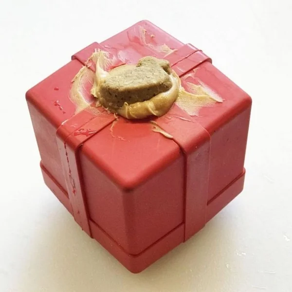 Juguete mordedor rellenable regalo Sodapup