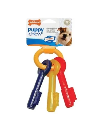 Juguete Nylabone Llave Mordedor Cachorro