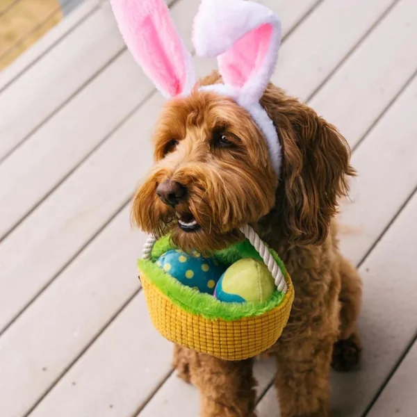 Juguete Pascua Egg Basket PLAY