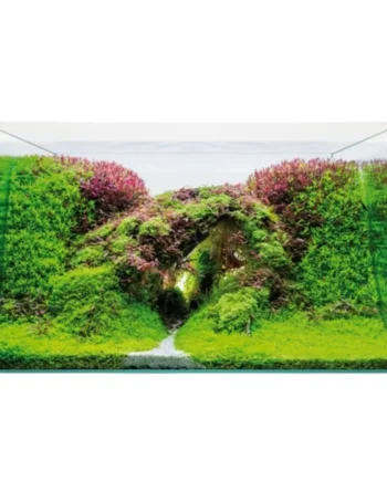 Kit Acuario Aquascape — Set Completo para Montar tu Acuario Plantado