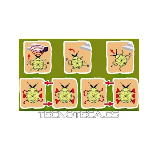 KIT de montaje ROBOT LADYBUG. KSR6