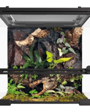 Kit Terrario Reptiglass para Reptiles y Anfibios
