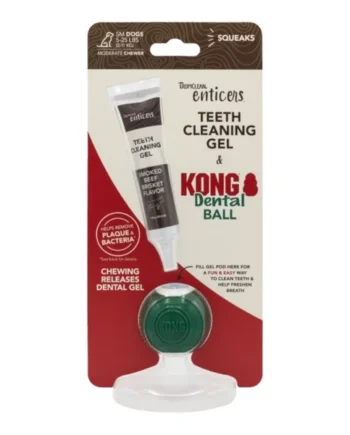 KONG Dental Kit para Perros — Cepillo y Pasta Dental Canina