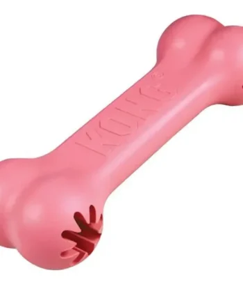 Kong Puppy Goodie Bone