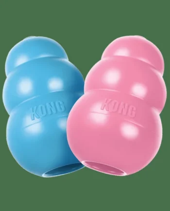 Kong Puppy