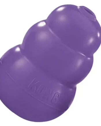 Kong Senior