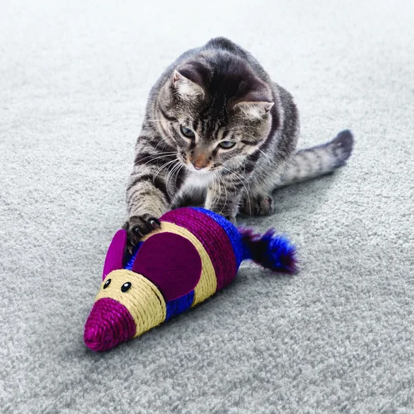 La comodidad se encuentra con el valor: compra KONG Juguete Wrangler Scratch Ratón a precios económicos en Productos Para Gatos.