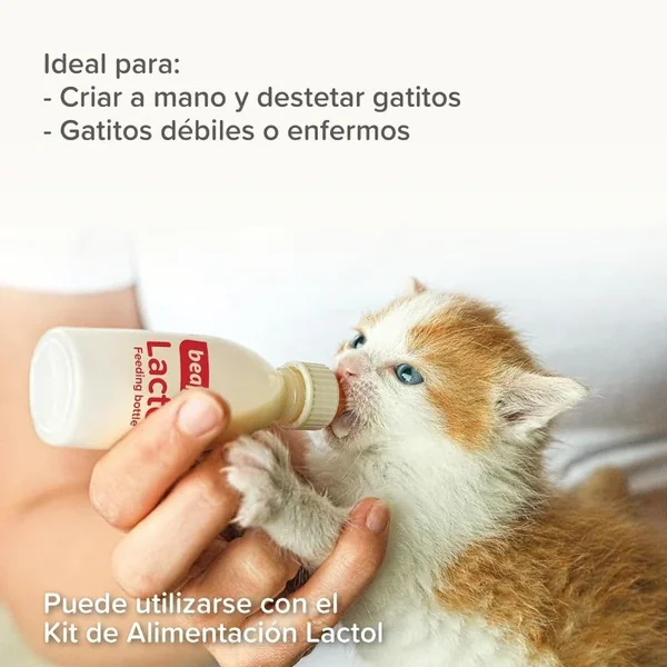 Leche maternizada para gatitos recién nacidos Beaphar Lactol 250 g