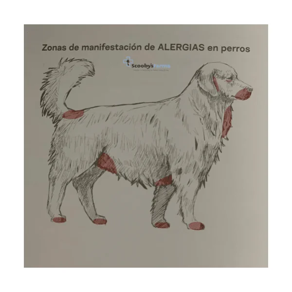 Lenda Vet ALLERGIC SOLUTION alergias perros