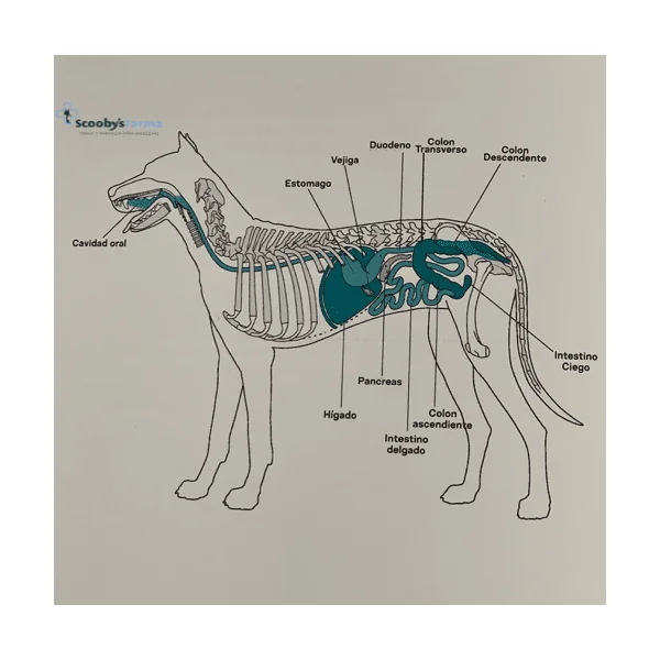 Lenda Vet GASTRO-ATOPIC gastrointestinal perros