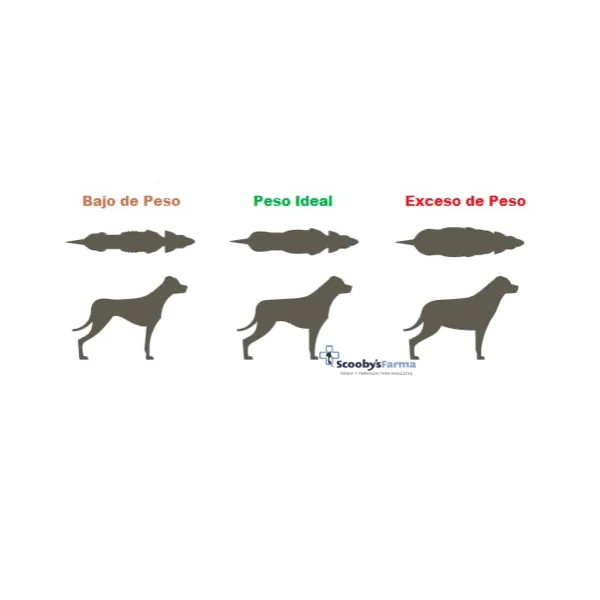 Lenda Vet SLIMMING STERILIZED bajo en grasas perros adultos