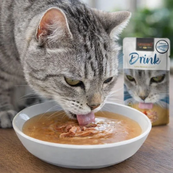 Leonardo Drink Salmón para Gatos – Sopa Hidratante Natural