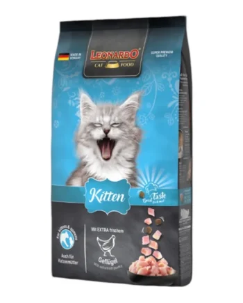Leonardo Pienso Kitten