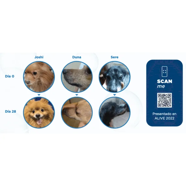 LetiKerato loción perros piel seca 200ml
