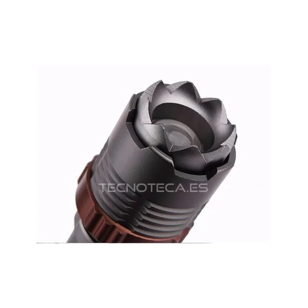 Linterna Led + batería 18650 + 2 cargadores 600 Lumenes