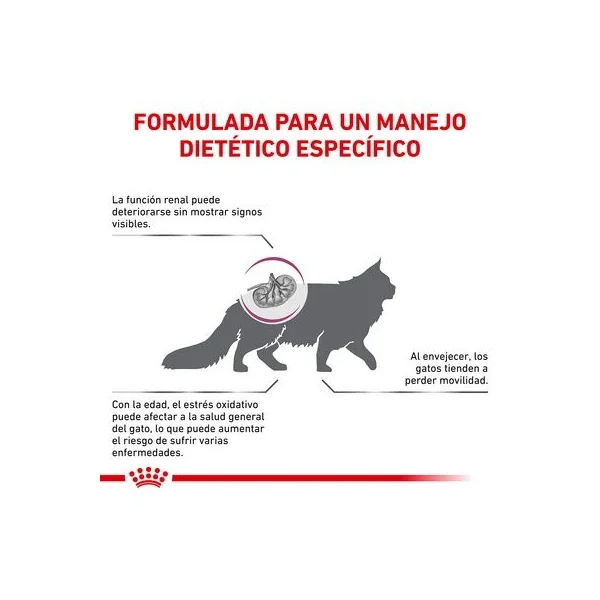 Mantente a la moda con la última selección de Royal Canin Veterinary Feline Early Renal de Productos Para Gatos.