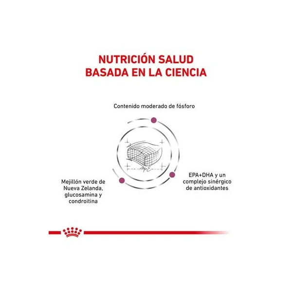 Mantente a la moda con la última selección de Royal Canin Veterinary Feline Early Renal de Productos Para Gatos.