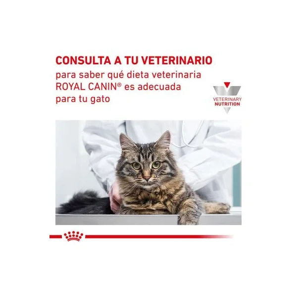 Mantente a la moda con la última selección de Royal Canin Veterinary Feline Early Renal de Productos Para Gatos.