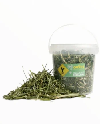 Miniorycs Snack de Eneldo
