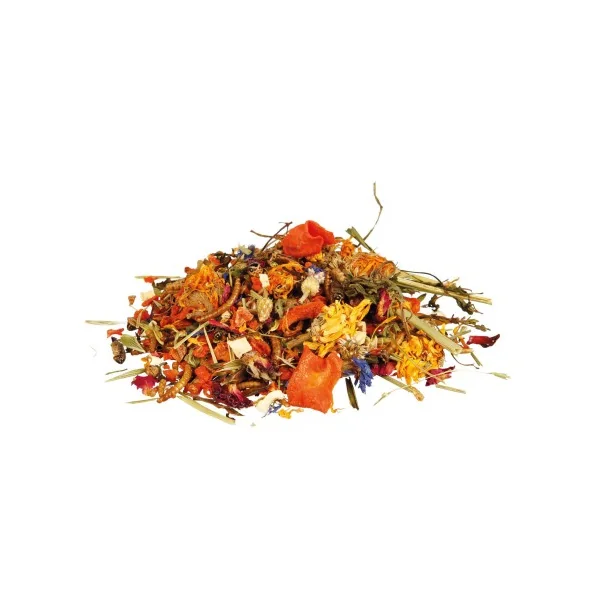 Mixtura de Alimento Natural para Dragones Barbudos