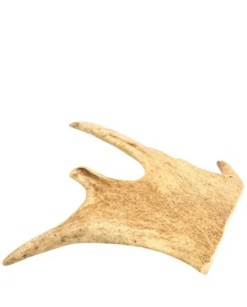 Mordedor Natural Asta de Gamo