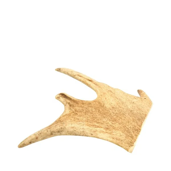 Mordedor Natural Asta de Gamo