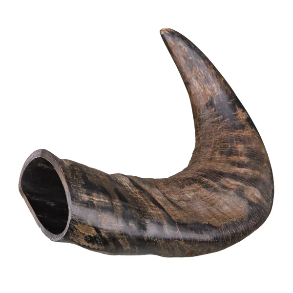 Mordedor Natural Cuerno de Búfalo Hueco