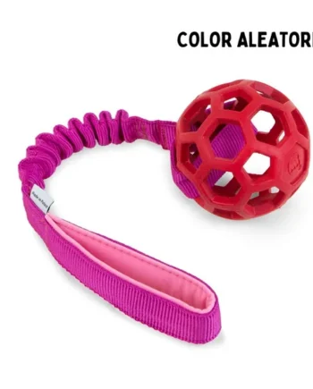 Motivador con pelota JW Pet Hol-EE Roller