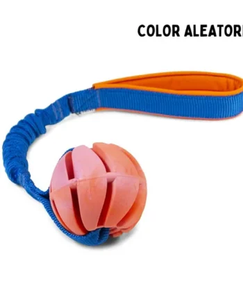 Motivador con pelota Sum Plast