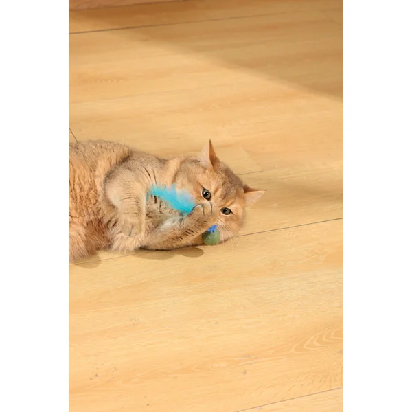 M-PETS - Charmy Firefly de Catnip