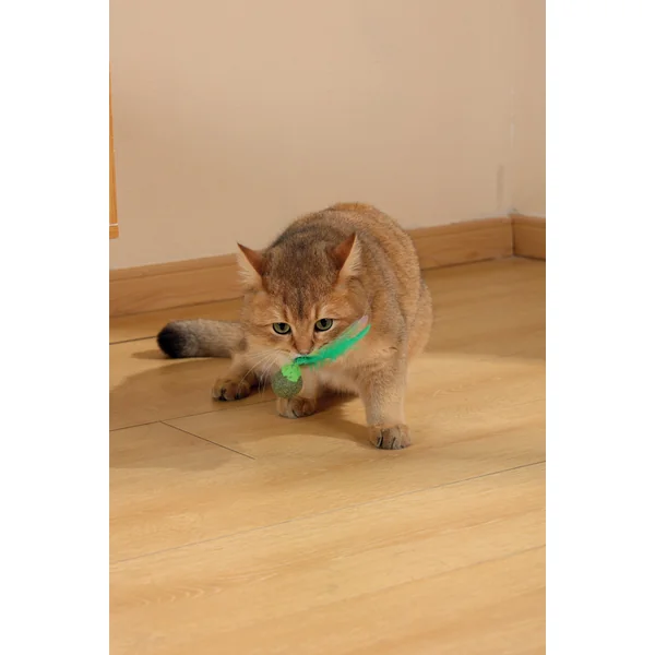 M-PETS - Charmy Firefly de Catnip