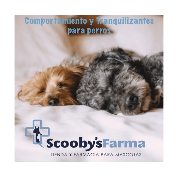 Multiva Calming perros medianos grandes Calmante perros 25 chews
