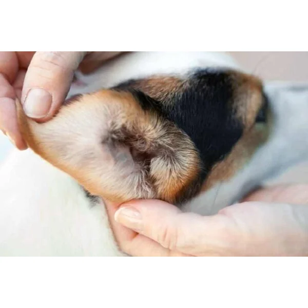 Multiva Ear Care Limpiador oídos perros 118 ml