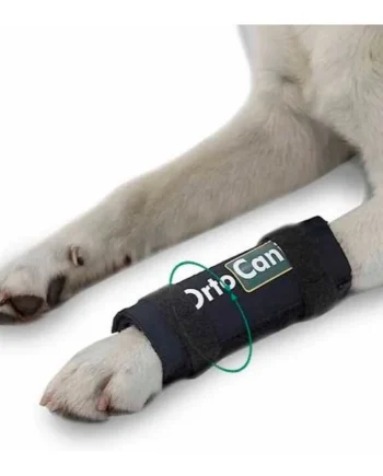 Muñequera de Perro con Férulas | Recuperación Postquirúrgica