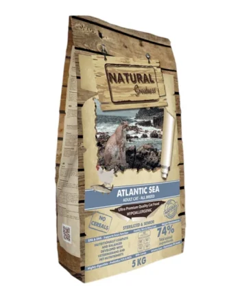 Natural greatness Gato Atlantic sea