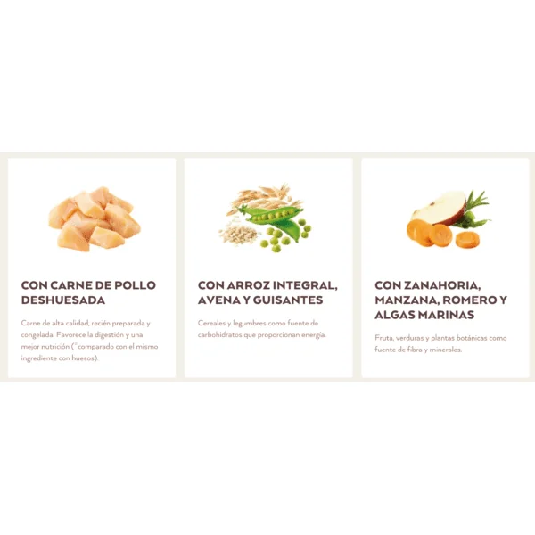 Nature´s Variety Healthy Grains pollo mimi PUPPY