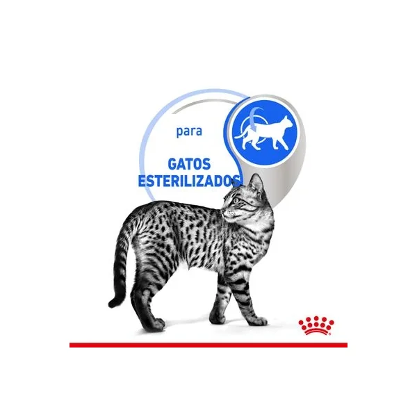 Navega por las últimas olas de moda con nuestra Royal Canin Indoor Sterilised En Salsa.